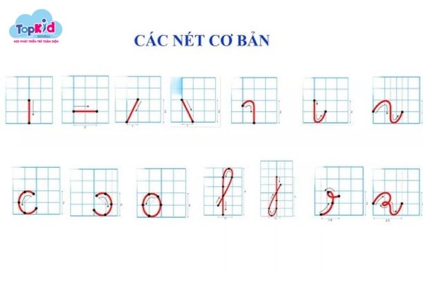 Các nét chứ cơ bản trong chương trình tiếng việt lớp 1 mới