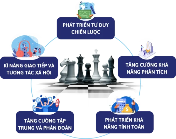 vòng lặp phát triển