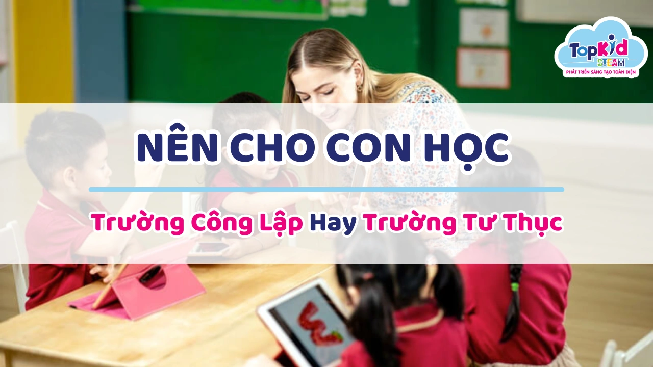 nên cho con học trường công hay trường tư