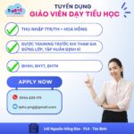 GIÁO VIÊN DẠY TIỂU HỌC