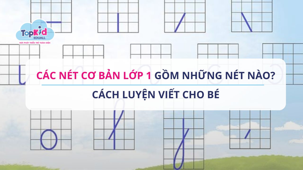 Các nét cơ bản lớp 1 gồm những nét nào? Cách luyện viết cho bé