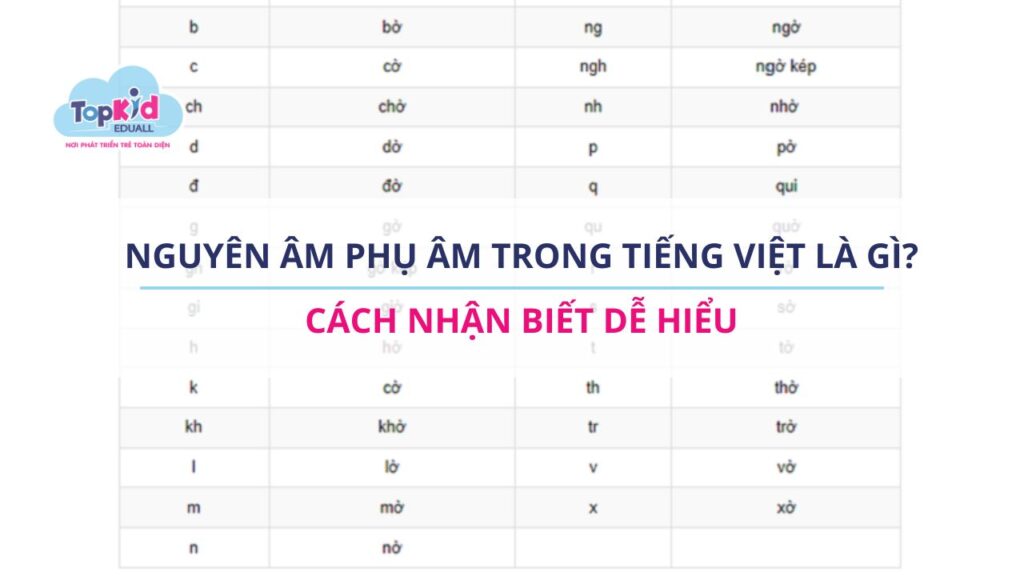 nguyên âm phụ âm trong tiếng việt