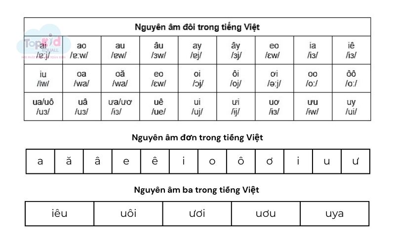 nguyên âm phụ âm trong tiếng việt