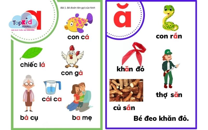 nguyên âm phụ âm trong tiếng việt