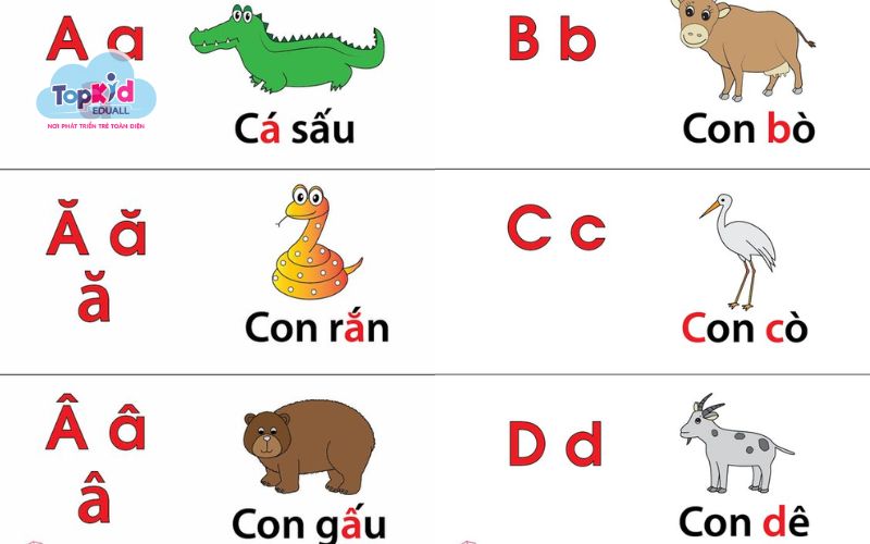 nguyên âm phụ âm trong tiếng việt