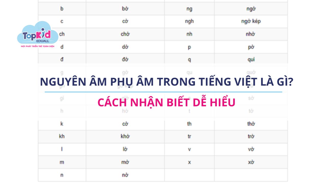 nguyên âm phụ âm trong tiếng việt