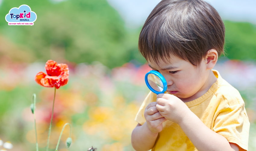Trẻ quan sát mọi thứ trước khi hành động Trẻ quan sát mọi thứ trước khi hành động