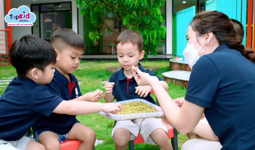 Trường mầm non quốc tế Kindy City