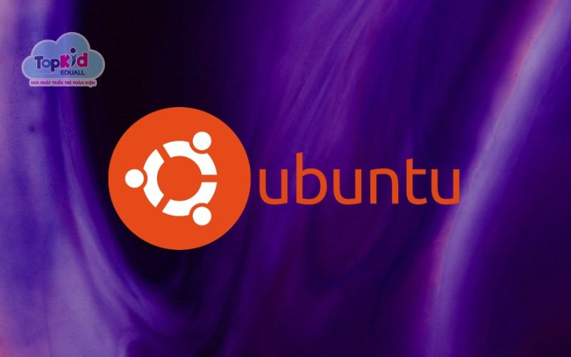 Trên Ubuntu (bao gồm Ubuntu 24.04 LTS năm 2025)