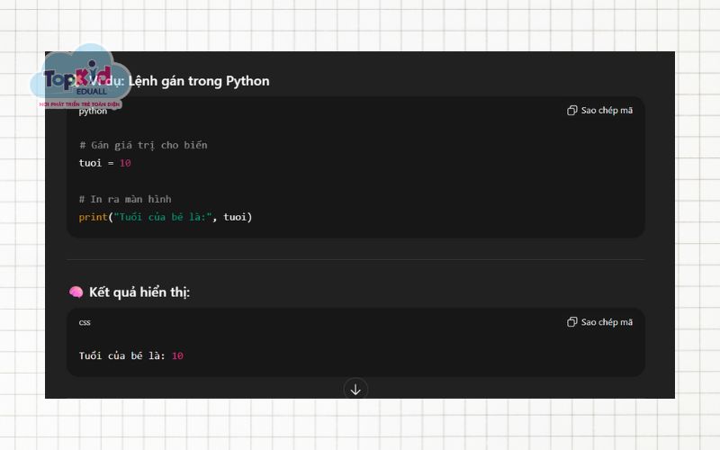 Lệnh gán (Assignment Statements)