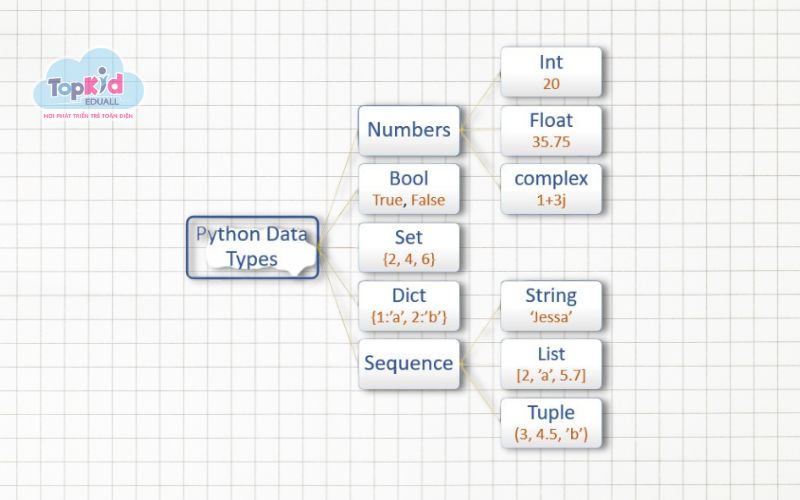 Biến và kiểu dữ liệu trong Python cơ bản