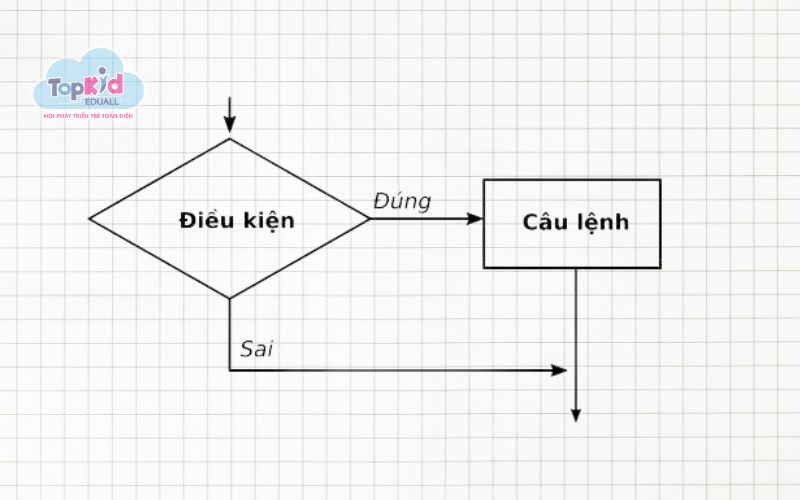 Vòng lặp và điều kiện Python cơ bản