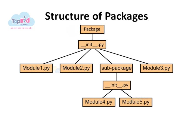 Thiết kế kiến trúc module & package lớn