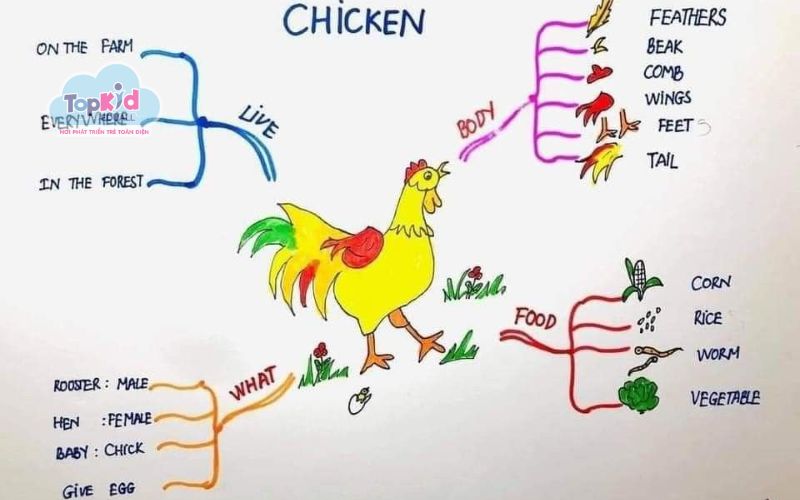 Sơ đồ tư duy hình con vật là gì?