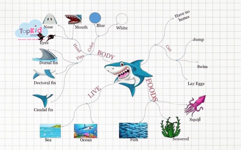 Các kiểu sơ đồ tư duy hình con vật phổ biến nhất