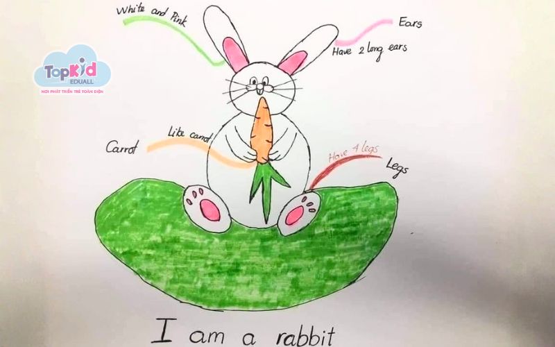 Hướng dẫn vẽ sơ đồ tư duy hình con vật từng bước