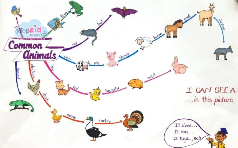 Các lỗi khi bé vẽ sơ đồ tư duy con vật & cách khắc phục