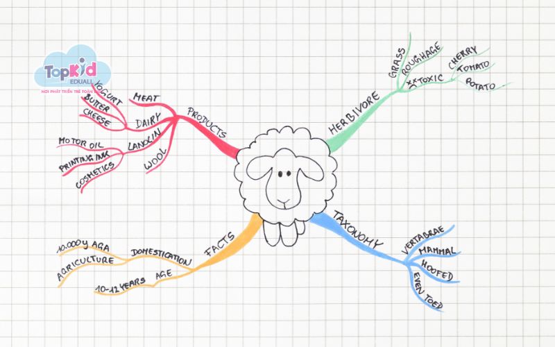 Cho bé 5–6 tuổi (Mầm non lớn – Thêm từ khóa)