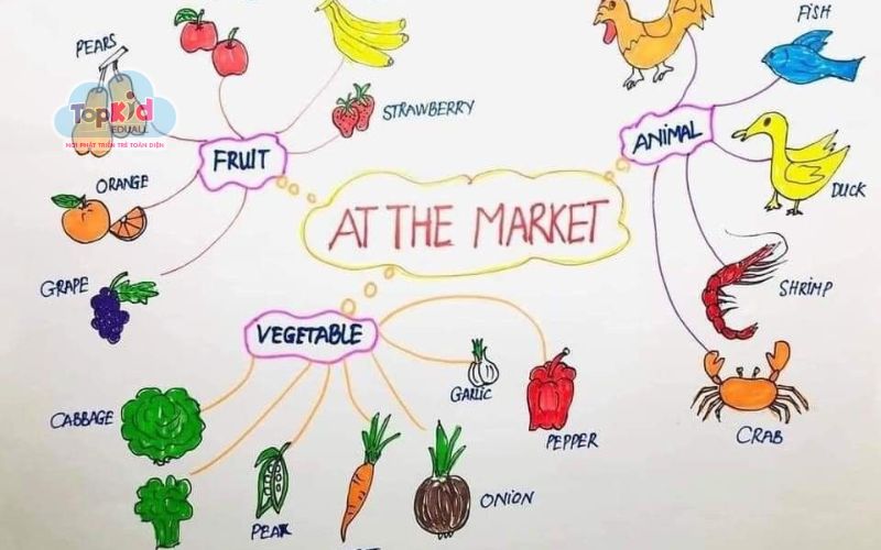 Cho bé 7–10 tuổi (Tiểu học – Chi tiết, logic)