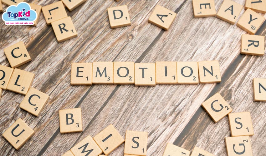 Tầm quan trọng của giáo dục cảm xúc Tầm quan trọng của giáo dục cảm xúc
