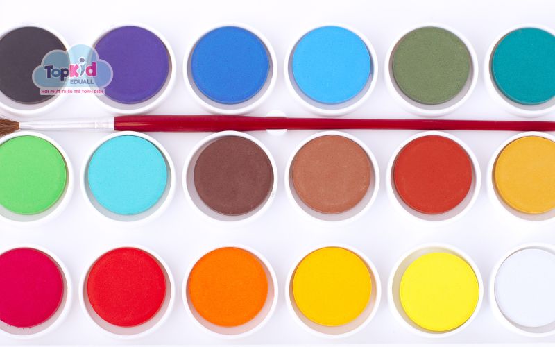 Màu nước dành cho học sinh (Student Grade)