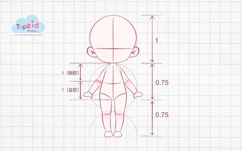 Tỷ lệ đầu và thân chibi