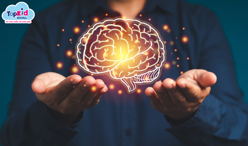 Giấc ngủ là năng lượng vàng cho bộ não