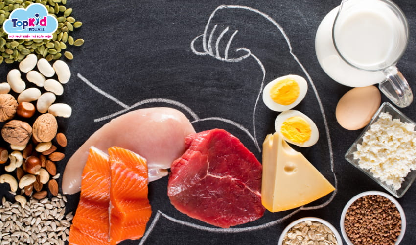 Nhóm thực phẩm giàu Protein và canxi