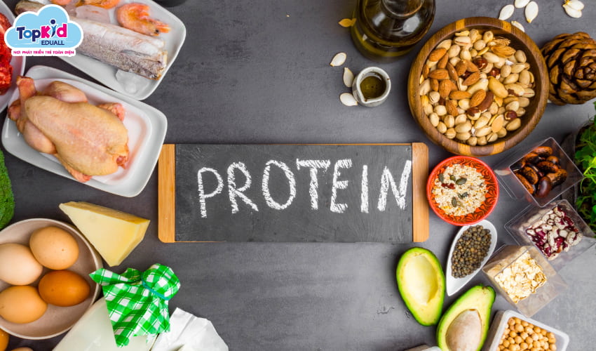 Protein nền tảng của xương và mô