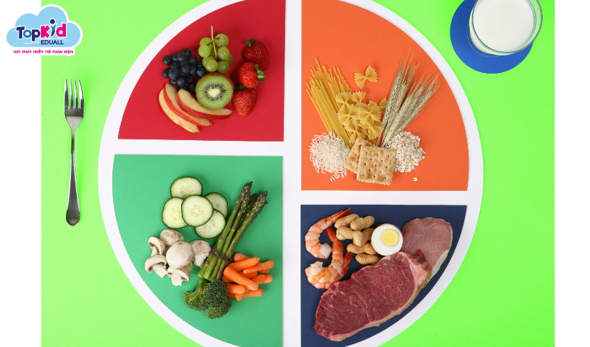 Quy tắc “Đĩa ăn cân đối” – Nền tảng của mọi bữa ăn khoa học