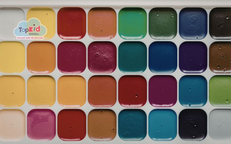 Màu nước chuyên nghiệp (Artist grade)