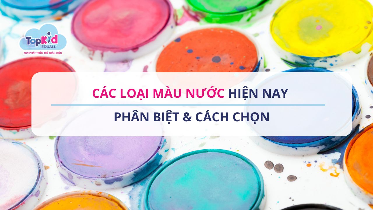 Các loại màu nước hiện nay | Phân biệt & Cách chọn