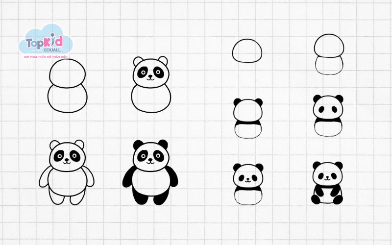 Hướng dẫn vẽ gấu trúc đáng yêu