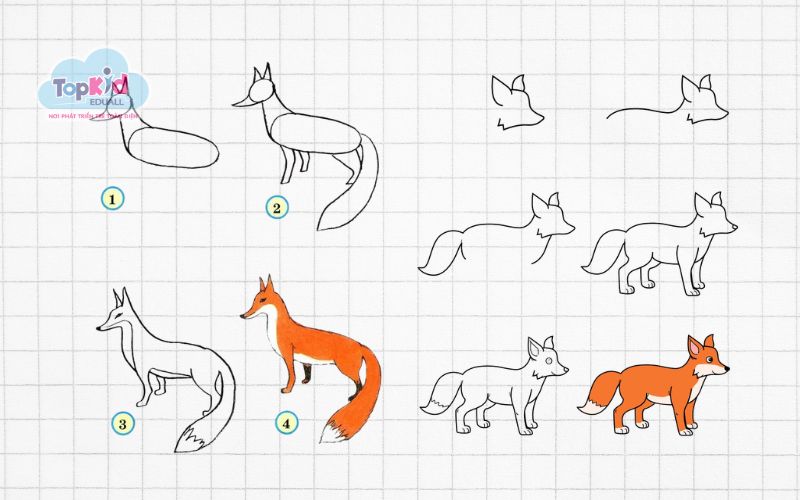 Vẽ con cáo đơn giản cute cho bé