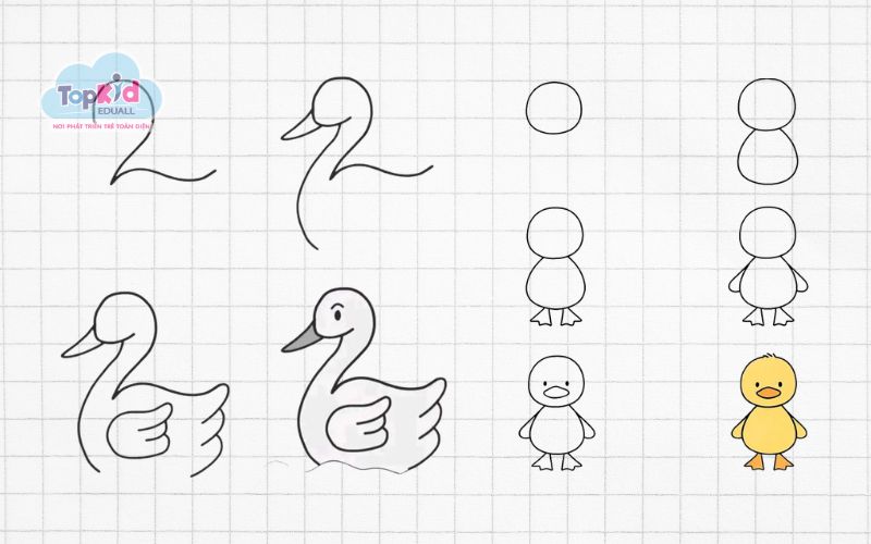 Vẽ con vịt cute đơn giản