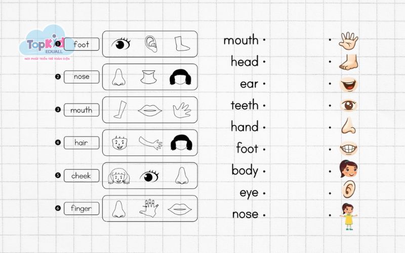 Bài tập chủ đề 7: Bộ phận cơ thể (Body parts)