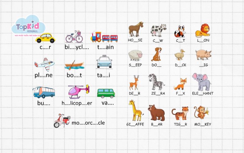 Bài tập từ vựng tiếng Anh lớp 1: Điền từ vào chỗ trống (Fill in the blank)