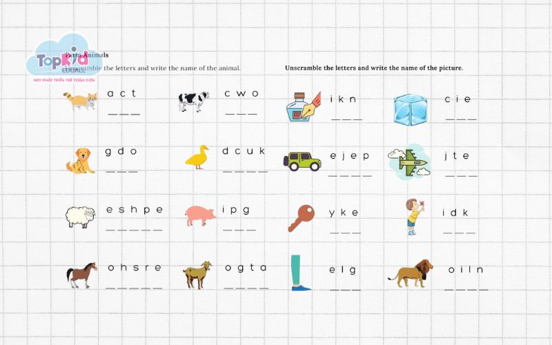 Bài tập từ vựng tiếng Anh lớp 1: Sắp xếp chữ cái thành từ (Unscramble)