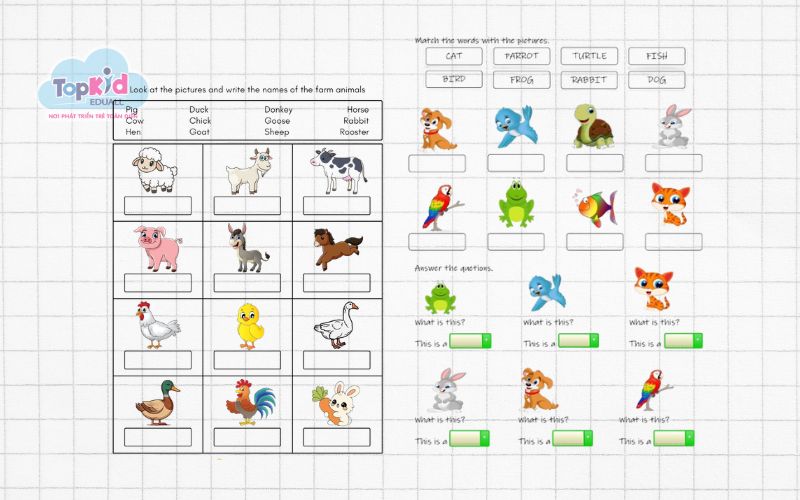 Bài tập chủ đề 2: Con vật (Animals)