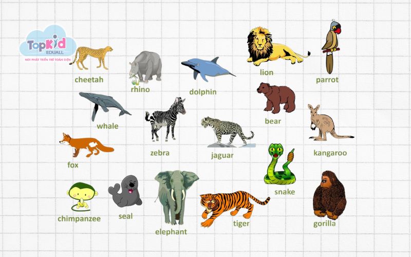 Chủ đề từ vựng tiếng Anh cho trẻ em về con vật