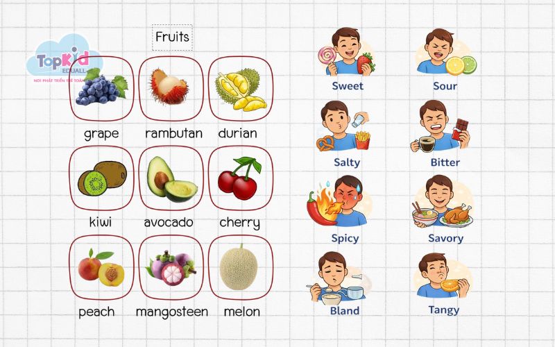 Chủ đề từ vựng tiếng Anh cho trẻ em về trái cây và đồ ăn