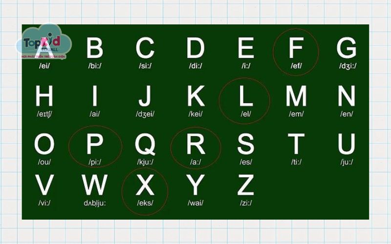 Kèm phiên âm IPA chuẩn quốc tế