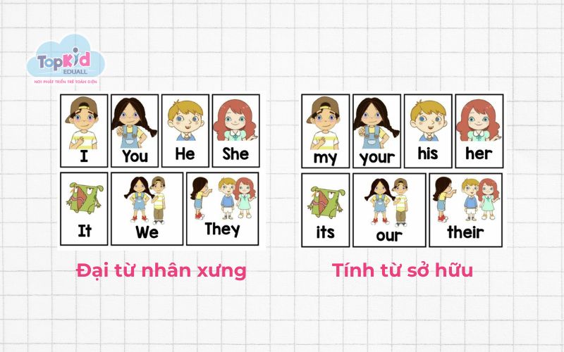 Ngữ pháp tiếng Anh lớp 2: Tính từ sở hữu