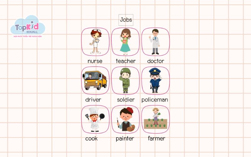 Từ Vựng Tiếng Anh: Nghề nghiệp trong xã hội (Occupations)