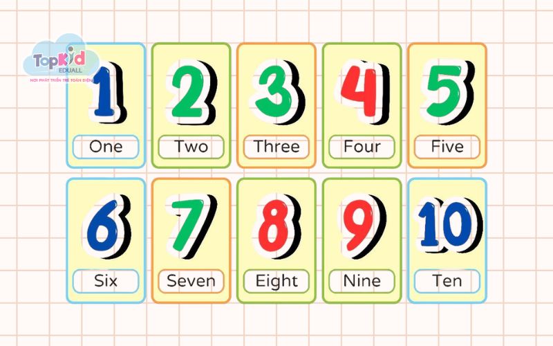 Từ Vựng Tiếng Anh: Con số (Numbers)