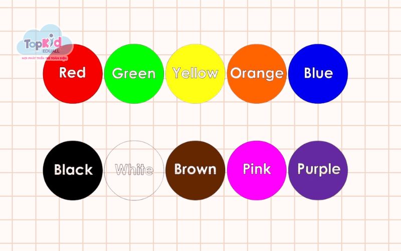 Từ Vựng Tiếng Anh: Màu sắc cơ bản (Primary Colors)