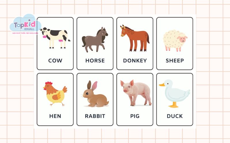 Từ Vựng Tiếng Anh: Các loài vật quen thuộc (Common Animals)