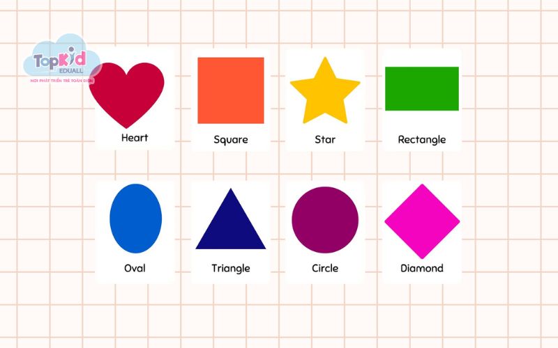 Từ Vựng Tiếng Anh: Hình khối & Kích thước (Shapes & Sizes)