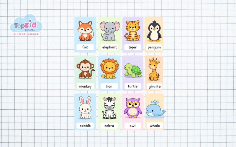 Flashcard con vật (Animals)