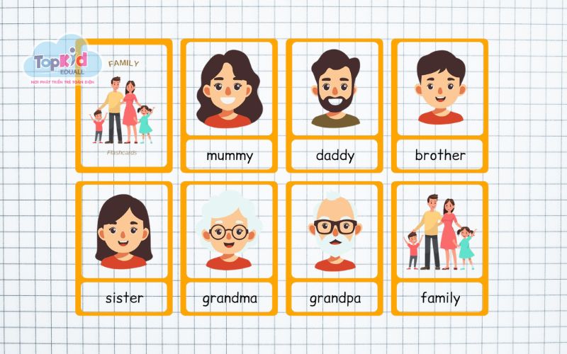 Flashcard gia đình (Family)
